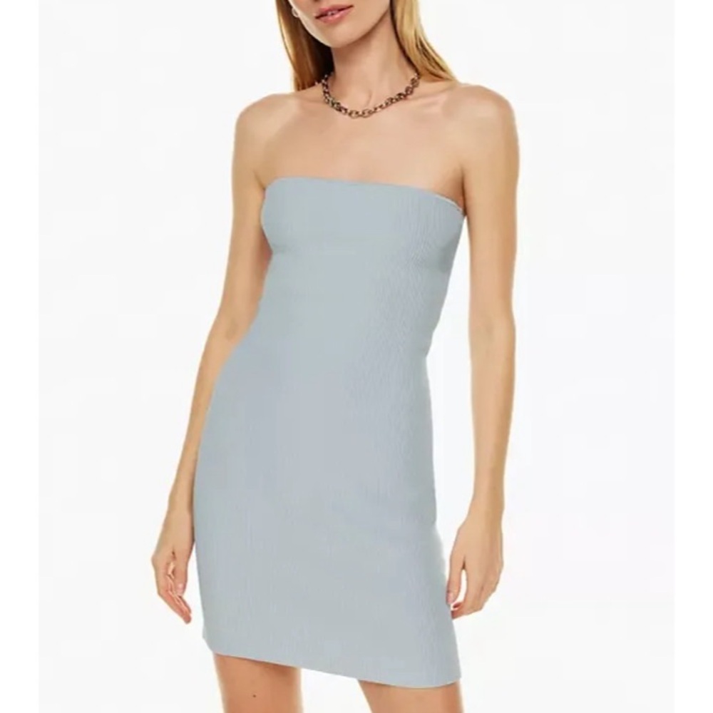 NWT Babaton Sculpt Knit Tube Dress